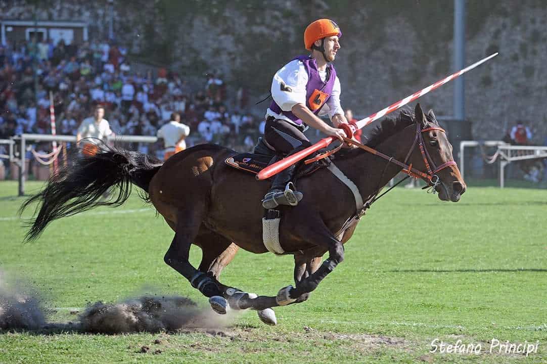 Tutti i cavalli pronti per la corsa: parola di commissione veterinaria
