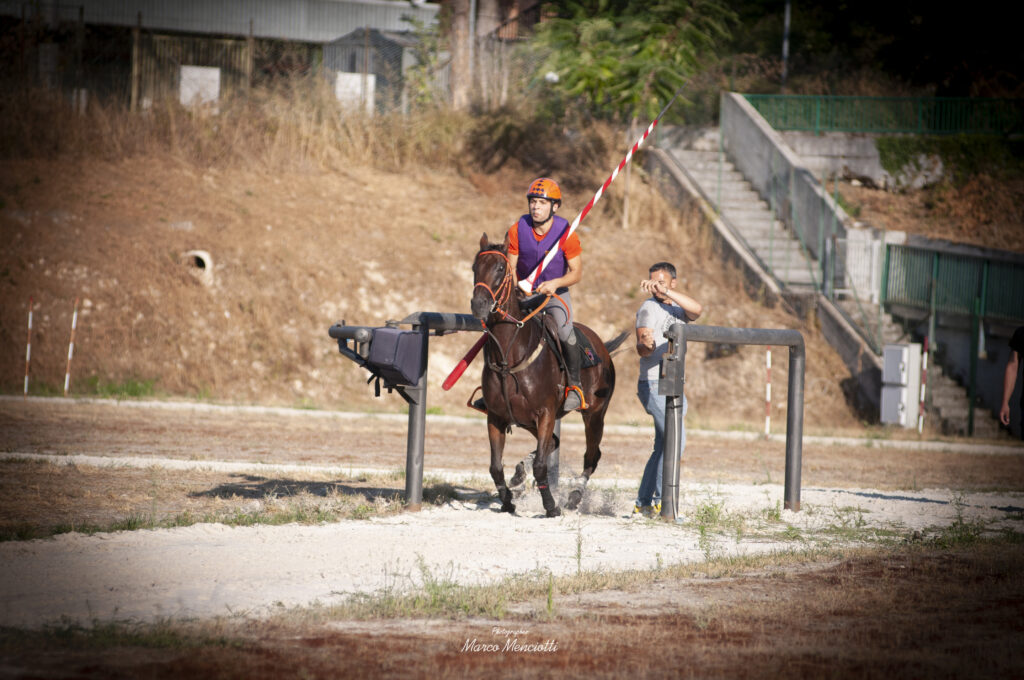prove corsa all'anello
